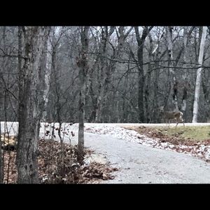 Meet your Posher, Sonia